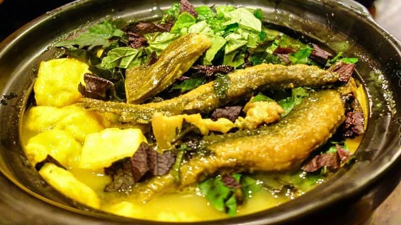 Cá chạch – thực phẩm vàng chứa canxi gấp 3 lần sữa bò
