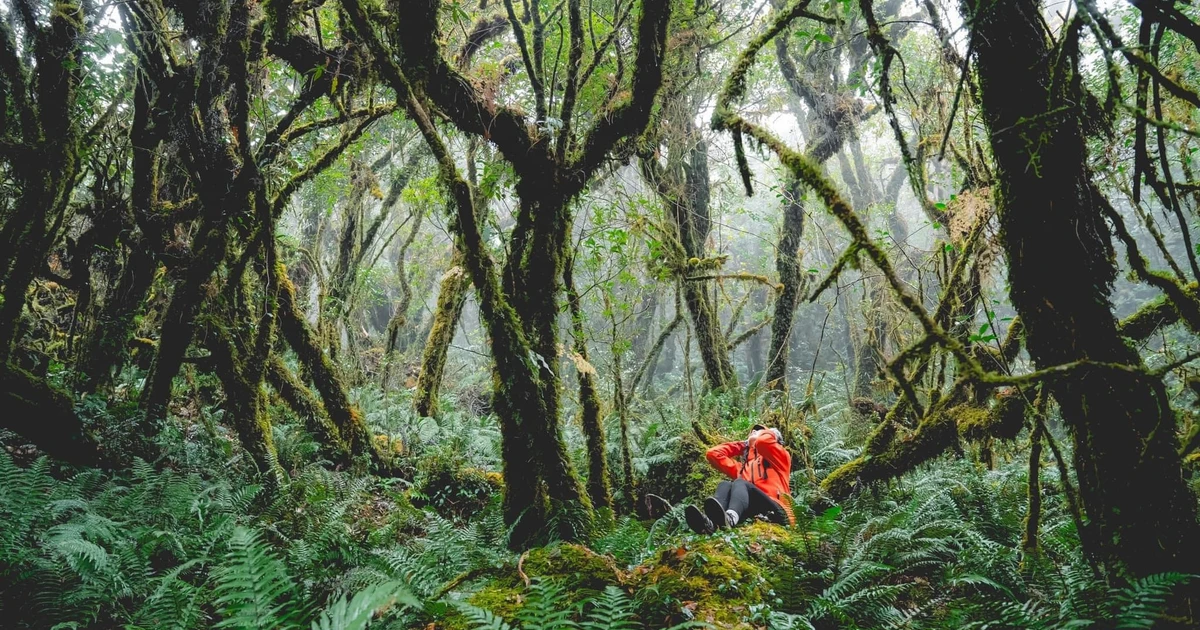 View - Sa Mu viên ngọc hoang sơ Tây Bắc thu hút du khách khám phá thiên nhiên | Báo Tri thức và Cuộc sống - TIN TỨC PHỔ BIẾN KIẾN THỨC 24H
