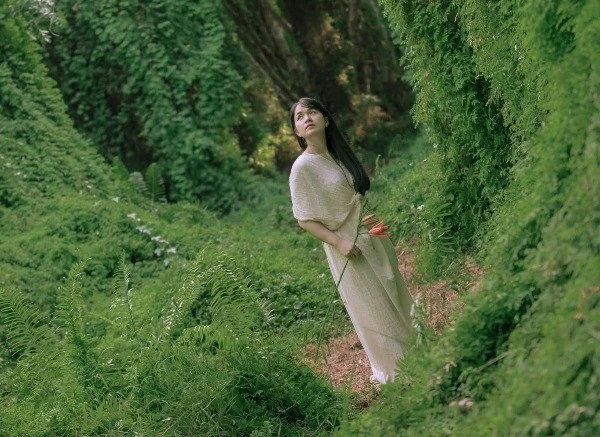 View - Rừng tràm rêu phong giữa Khánh Hòa hút khách du lịch trẻ | Báo Tri thức và Cuộc sống - TIN TỨC PHỔ BIẾN KIẾN THỨC 24H