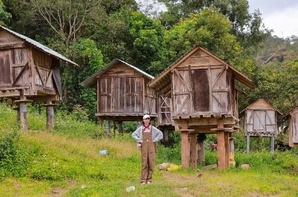View - Du lịch Măng Đen dịp lễ 2/9, lịch trình trọn vẹn giữa rừng thông và thác nước | Báo Tri thức và Cuộc sống - TIN TỨC PHỔ BIẾN KIẾN THỨC 24H
