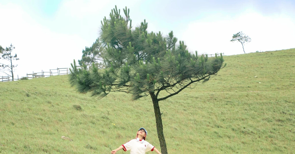 View - Du lịch Quảng Ninh mùa thu có gì hấp dẫn khiến du khách mê mẩn? | Báo Tri thức và Cuộc sống - TIN TỨC PHỔ BIẾN KIẾN THỨC 24H