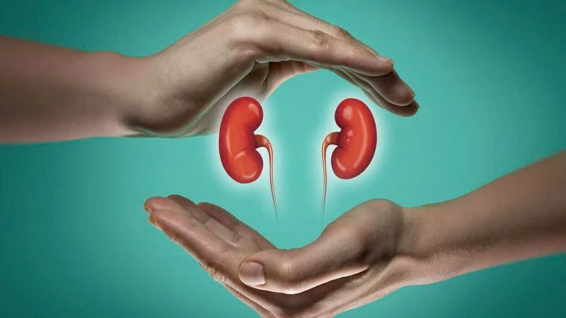 Bảo vệ thận với 6 loại thực phẩm màu tím giàu dưỡng chất