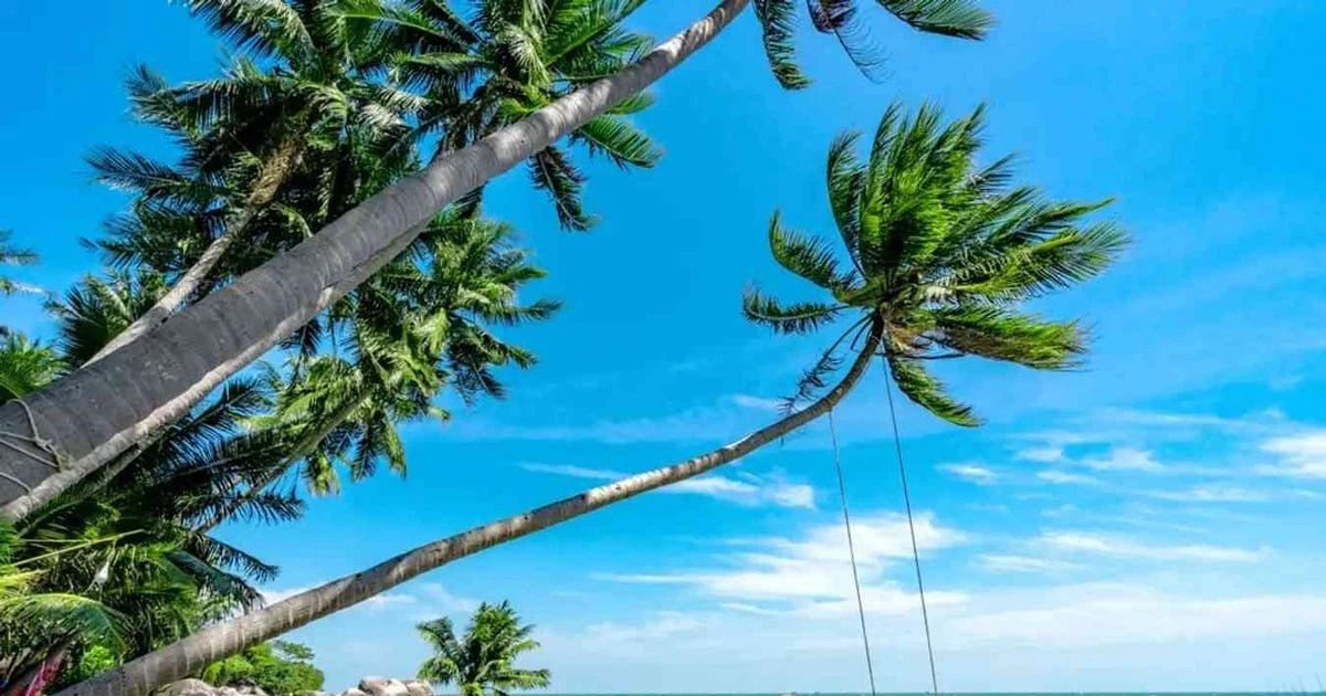 View - 3 địa điểm miền Nam cho kỳ nghỉ 2/9, biển trong, hải sản tươi, giá hợp lý | Báo Tri thức và Cuộc sống - TIN TỨC PHỔ BIẾN KIẾN THỨC 24H