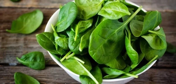 Mẹo chăm sóc tóc bằng rau chân vịt an toàn, tiết kiệm, dễ thực hiện tại nhà