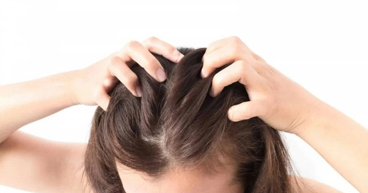 Không cần mỹ phẩm đắt tiền, chỉ với 5 loại lá này tóc vẫn đẹp