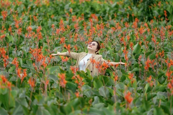 View - Mùa dong riềng đỏ rực trên núi lửa Chư Đăng Ya hút du khách đến check-in | Báo Tri thức và Cuộc sống - TIN TỨC PHỔ BIẾN KIẾN THỨC 24H