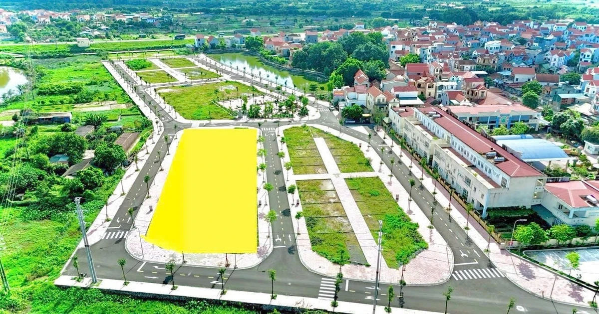 Luật Đất Đai sửa đổi: Tăng cường vai trò của hội đồng thẩm định