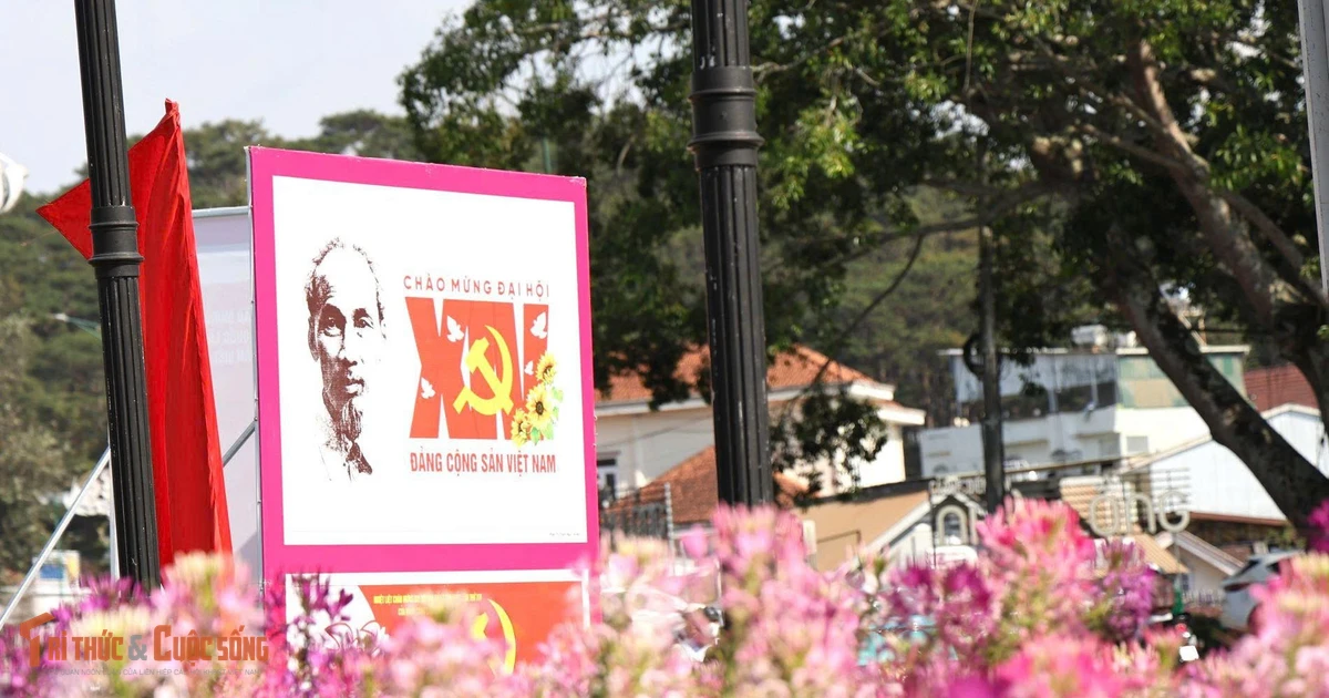 View - Lâm Đồng rực rỡ cờ hoa chào mừng Đại hội đại biểu toàn quốc lần thứ XIV của Đảng | Báo Tri thức và Cuộc sống - TIN TỨC PHỔ BIẾN KIẾN THỨC 24H