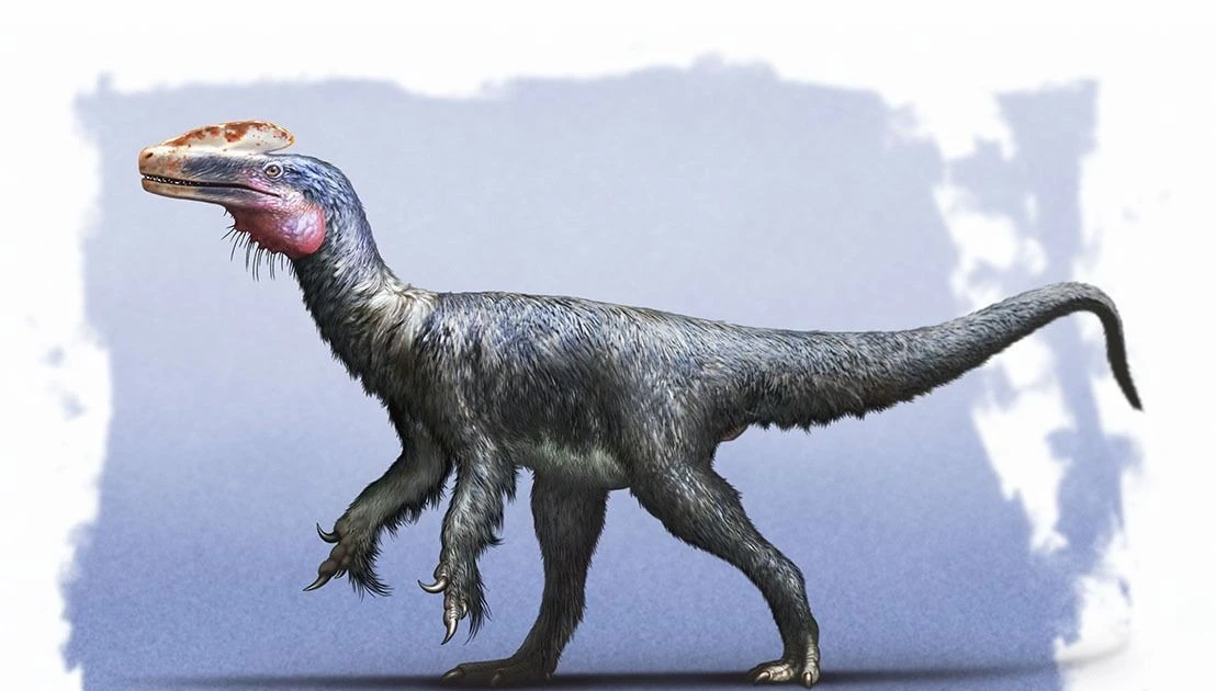 View - Tiết lộ sốc về tổ tiên dị hợm của khủng long bạo chúa Tyrannosaurus | Báo Tri thức và Cuộc sống - TIN TỨC PHỔ BIẾN KIẾN THỨC 24H