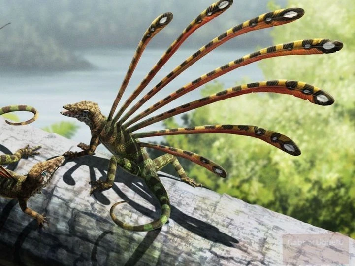 View - Loài bò sát dị thường 230 triệu tuổi khiến chuyên gia tranh cãi 'nảy lửa' | Báo Tri thức và Cuộc sống - TIN TỨC PHỔ BIẾN KIẾN THỨC 24H