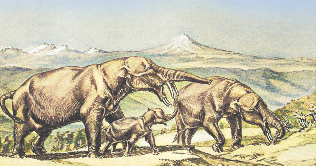 View - Loài voi 4 ngà kỳ dị bị săn bắt đến tuyệt chủng | Báo Tri thức và Cuộc sống - TIN TỨC PHỔ BIẾN KIẾN THỨC 24H