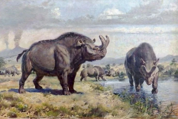 Gallery - Loài thú móng guốc kỳ dị có sừng chữ Y, họ hàng với tê giác | Báo Tri thức và Cuộc sống - TIN TỨC PHỔ BIẾN KIẾN THỨC 24H