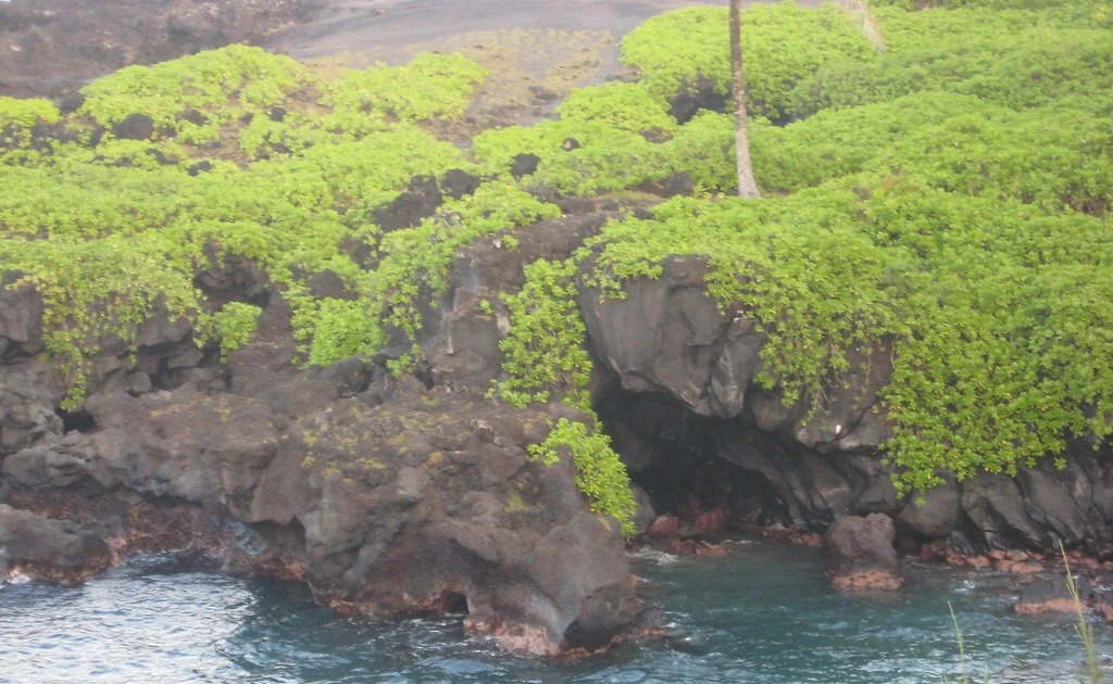 Gallery - Khám phá “thiên đường bị lãng quên giữa Thái Bình Dương” của nước Anh | Báo Tri thức và Cuộc sống - TIN TỨC PHỔ BIẾN KIẾN THỨC 24H