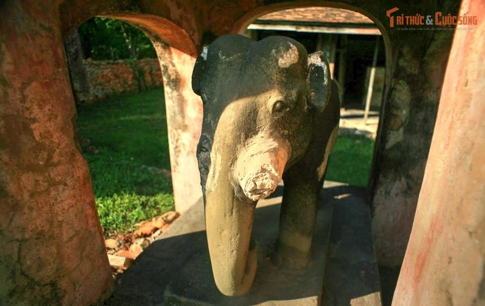 Gallery - Điện Voi Ré Huế và Truyền thuyết voi chiến triều Nguyễn gây xúc động | Báo Tri thức và Cuộc sống - TIN TỨC PHỔ BIẾN KIẾN THỨC 24H