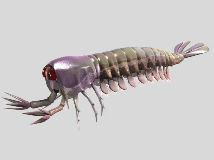 Gallery - Sinh vật kỳ lạ của kỷ Cambri từng làm chao đảo giới khoa học | Báo Tri thức và Cuộc sống - TIN TỨC PHỔ BIẾN KIẾN THỨC 24H