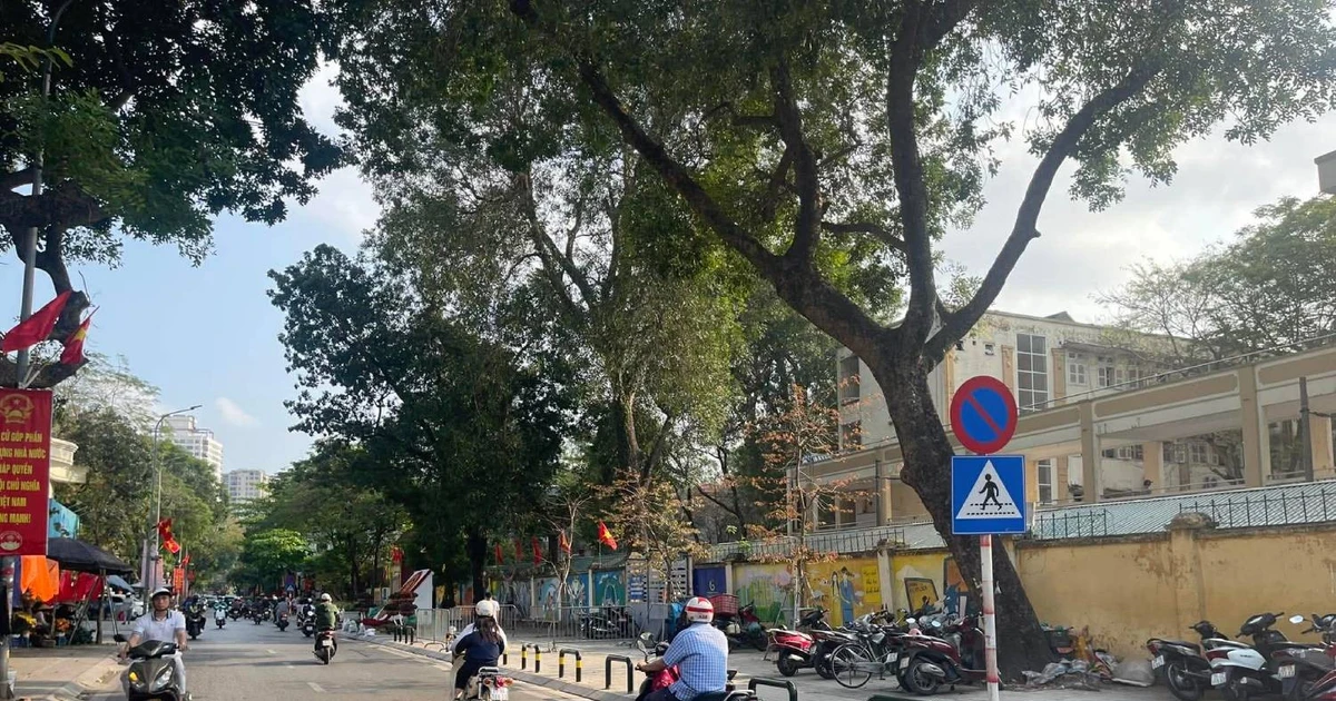 Gallery - Rào chắn vỉa hè trả lại không gian cho người đi bộ ở phường Kim Liên, Hà Nội | Báo Tri thức và Cuộc sống - TIN TỨC PHỔ BIẾN KIẾN THỨC 24H