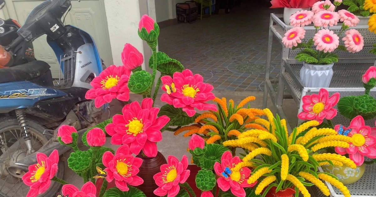 View - Giới trẻ rần rần 'bắt trend' hoa kẽm nhung chơi Tết vừa rẻ vừa sang | Báo Tri thức và Cuộc sống - TIN TỨC PHỔ BIẾN KIẾN THỨC 24H