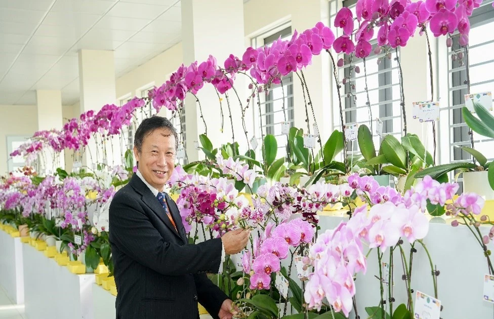 Gallery - Bí quyết chăm lan hồ điệp tươi suốt Tết, bung hoa rực rỡ năm sau | Báo Tri thức và Cuộc sống - TIN TỨC PHỔ BIẾN KIẾN THỨC 24H