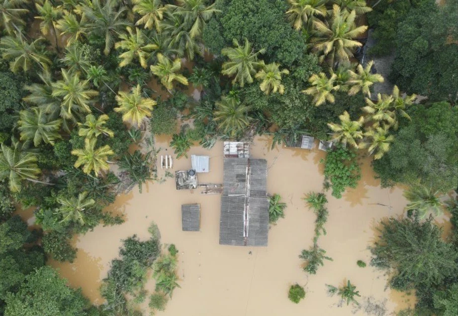 View - Toàn cảnh mưa lũ hoành hành ở Châu Á, hơn 1.160 người thiệt mạng | Báo Tri thức và Cuộc sống - TIN TỨC PHỔ BIẾN KIẾN THỨC 24H