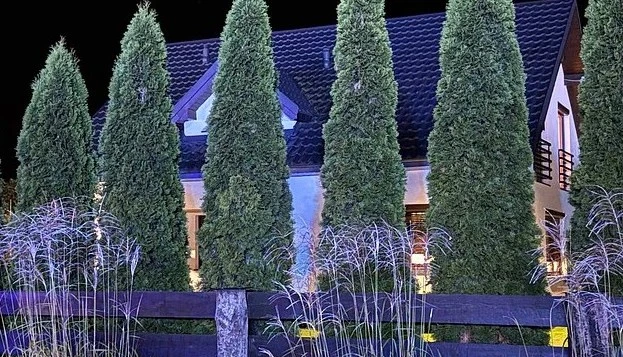 Phát hiện thi thể 3 mẹ con trong bể phốt ở Ba Lan