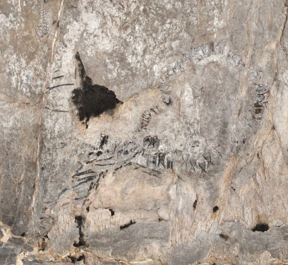 Gallery - Bí ẩn thủy quái khổng lồ mới lộ diện ở Cuba | Báo Tri thức và Cuộc sống - TIN TỨC PHỔ BIẾN KIẾN THỨC 24H