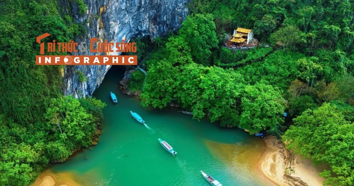 View - [INFOGRAPHIC] Loài thực vật quý hiếm mới ghi nhận ở VQG Phong Nha - Kẻ Bàng | Báo Tri thức và Cuộc sống - TIN TỨC PHỔ BIẾN KIẾN THỨC 24H