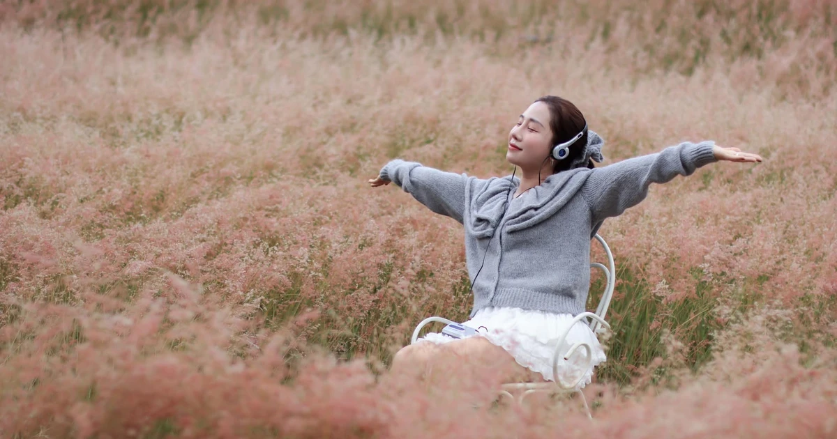 Gallery - Đồi cỏ hồng hồ Tuyền Lâm đẹp như cổ tích | Báo Tri thức và Cuộc sống - TIN TỨC PHỔ BIẾN KIẾN THỨC 24H