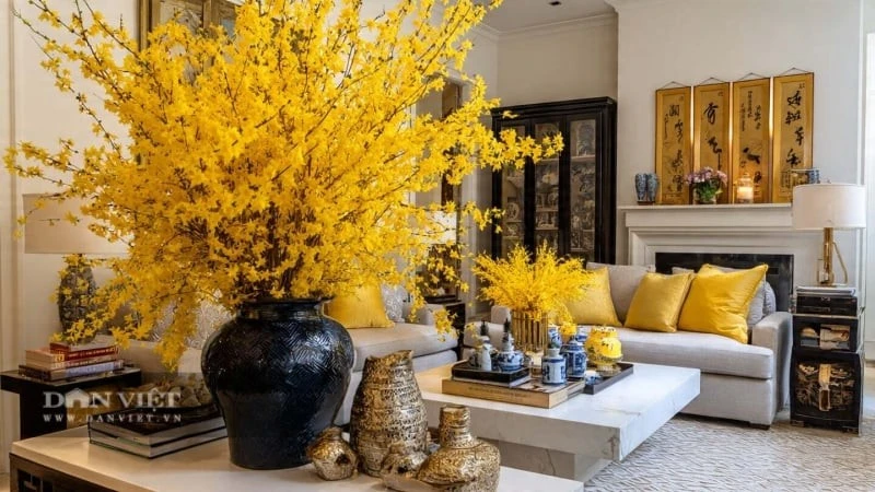 View - 6 cây cảnh chứa 'vàng', trưng trong nhà tiền về nườm nượp | Báo Tri thức và Cuộc sống - TIN TỨC PHỔ BIẾN KIẾN THỨC 24H