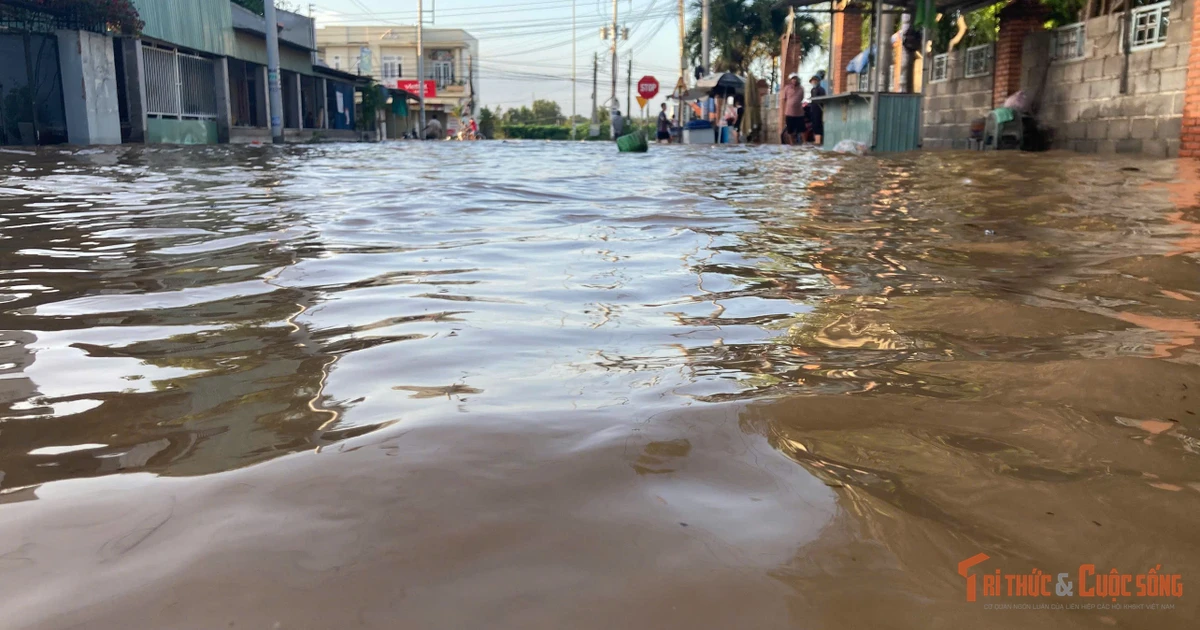 View - Nước dâng không ngừng, Lâm Đồng trắng đêm di dời dân | Báo Tri thức và Cuộc sống - TIN TỨC PHỔ BIẾN KIẾN THỨC 24H