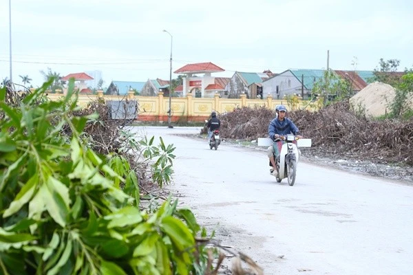 View - Rác cây xanh chất cao như đồi nhỏ giữa phố Nghệ An | Báo Tri thức và Cuộc sống - TIN TỨC PHỔ BIẾN KIẾN THỨC 24H