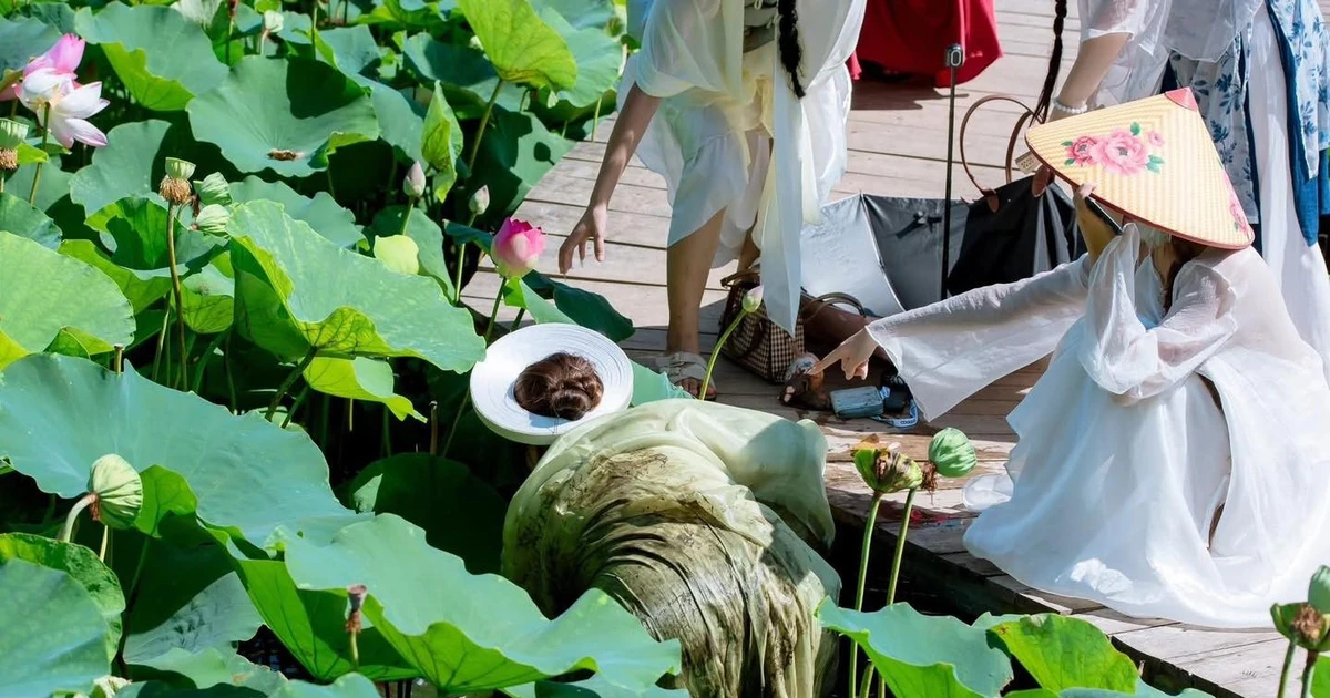 View - Kiếp nạn khi chụp sen Hang Múa của các nàng thơ | Báo Tri thức và Cuộc sống - TIN TỨC PHỔ BIẾN KIẾN THỨC 24H