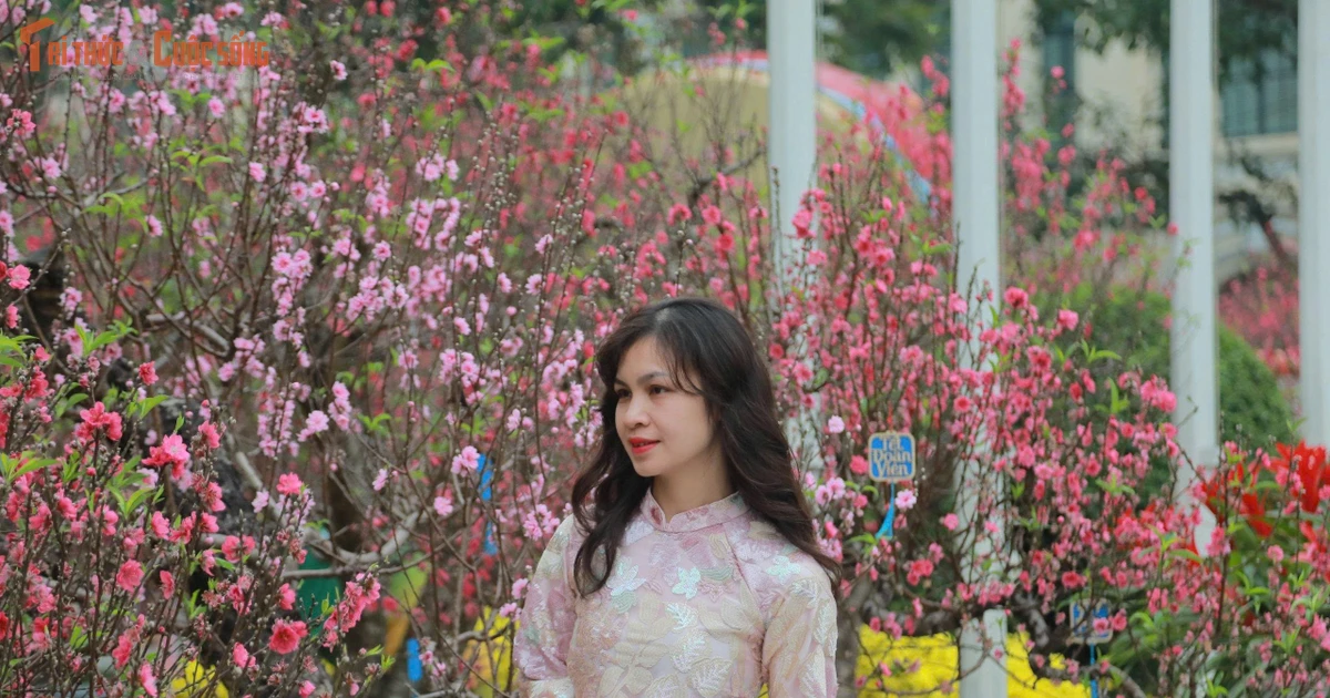 View - Người dân Thủ đô háo hức du xuân ngày mùng 1 Tết Bính Ngọ | Báo Tri thức và Cuộc sống - TIN TỨC PHỔ BIẾN KIẾN THỨC 24H