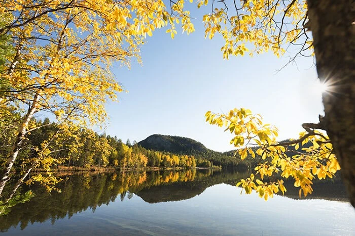 View - Ngắm cảnh sắc mùa thu tuyệt đẹp ở Bắc Âu | Báo Tri thức và Cuộc sống - TIN TỨC PHỔ BIẾN KIẾN THỨC 24H