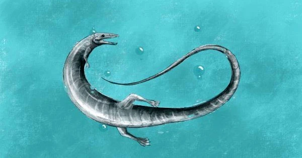 Phát hiện 'rồng sơ sinh' 150 triệu tuổi khiến giới khoa học bàng hoàng