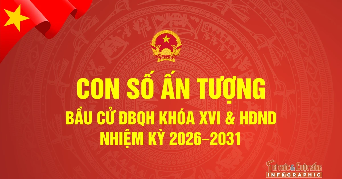 Gallery - Con số ấn tượng bầu cử Quốc hội khoá XVI và HĐND các cấp nhiệm kỳ 2026 - 2031 | Báo Tri thức và Cuộc sống - TIN TỨC PHỔ BIẾN KIẾN THỨC 24H