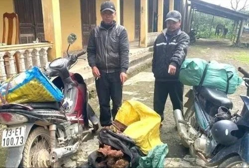 View - Bắt giữ vụ vận chuyển trái phép gỗ quý mán đỉa ở Quảng Trị | Báo Tri thức và Cuộc sống - TIN TỨC PHỔ BIẾN KIẾN THỨC 24H