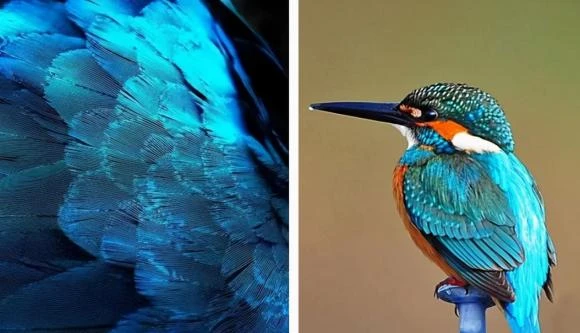 View - Vì sao trang sức điểm thúy được ưa chuộng nhất thời nhà Thanh | Báo Tri thức và Cuộc sống - TIN TỨC PHỔ BIẾN KIẾN THỨC 24H