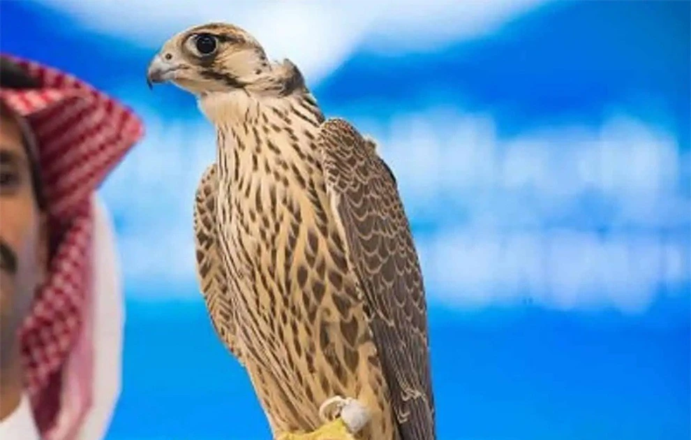 View - Ngoài bồ câu 35 tỷ, thế giới còn những loài vật nào có giá ‘khủng’? | Báo Tri thức và Cuộc sống - TIN TỨC PHỔ BIẾN KIẾN THỨC 24H