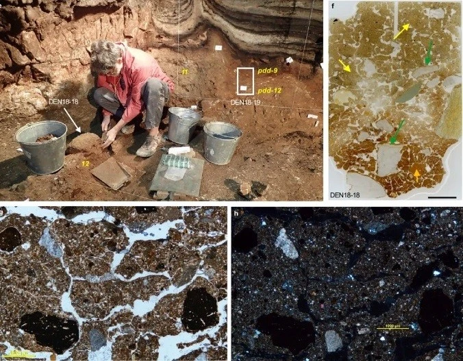 Gallery - 'Viên nang thời gian sinh học' hé lộ bí ẩn về lịch sử loài người | Báo Tri thức và Cuộc sống - TIN TỨC PHỔ BIẾN KIẾN THỨC 24H