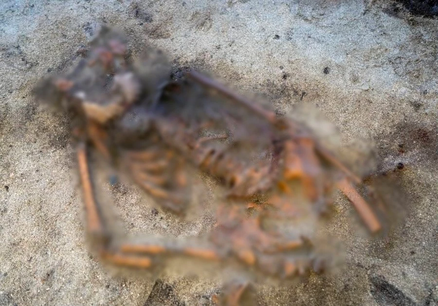 View - Thợ dò kim loại phát hiện ngôi mộ thời Viking quý hiếm | Báo Tri thức và Cuộc sống - TIN TỨC PHỔ BIẾN KIẾN THỨC 24H