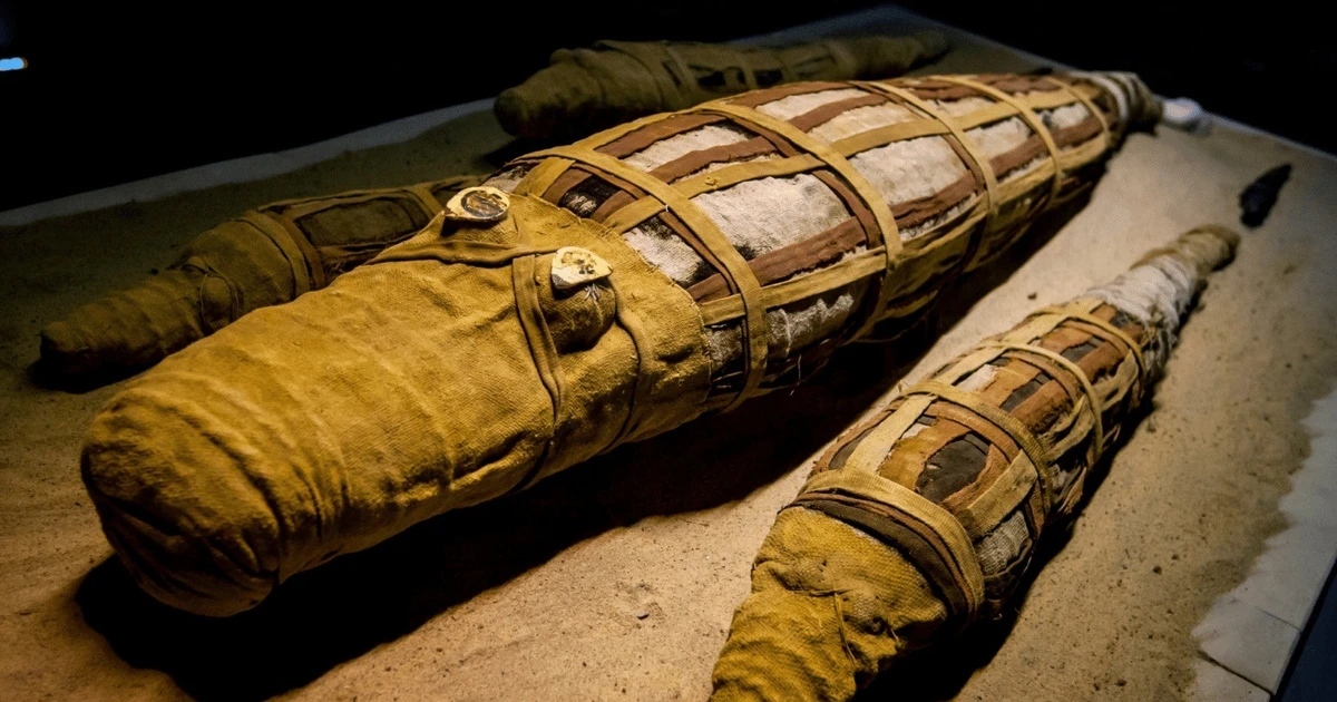 View - Phát hiện bất ngờ bên trong xác cá sấu 3.000 tuổi | Báo Tri thức và Cuộc sống - TIN TỨC PHỔ BIẾN KIẾN THỨC 24H