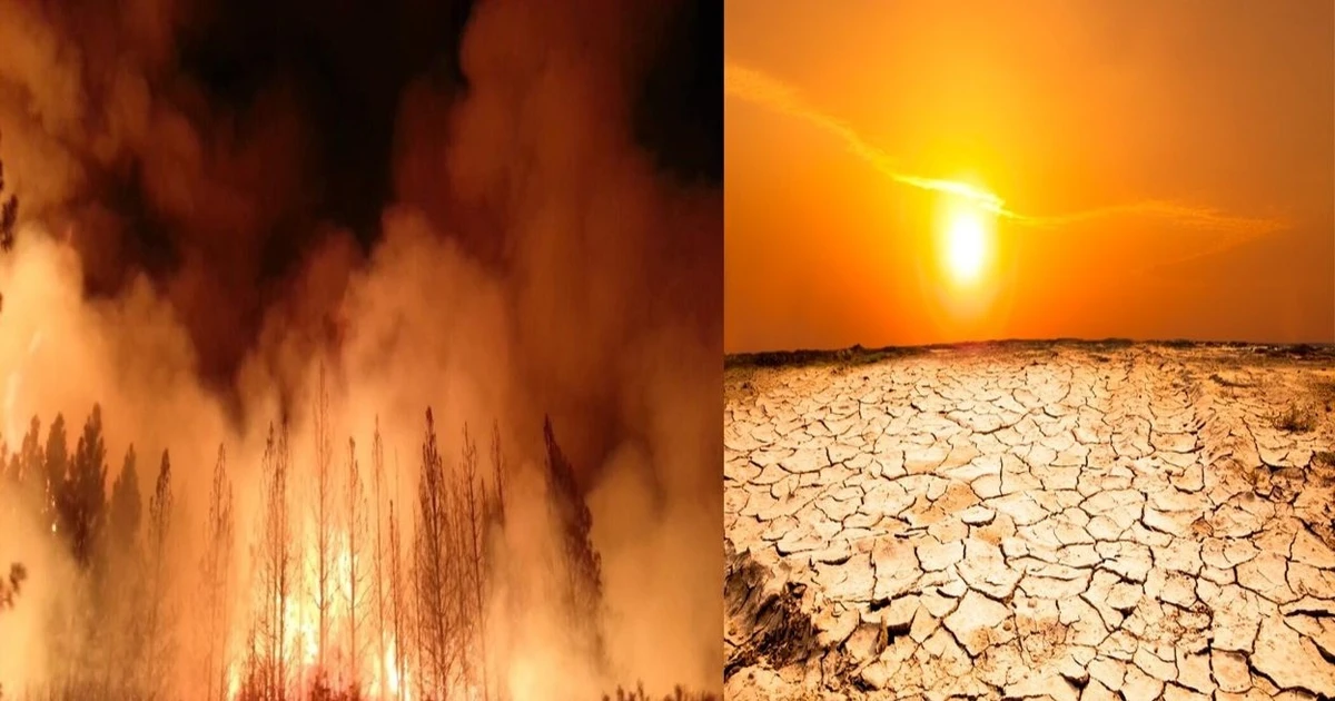 View - Năm 2025, biến đổi khí hậu gây thiệt hại hơn 120 tỷ USD | Báo Tri thức và Cuộc sống - TIN TỨC PHỔ BIẾN KIẾN THỨC 24H