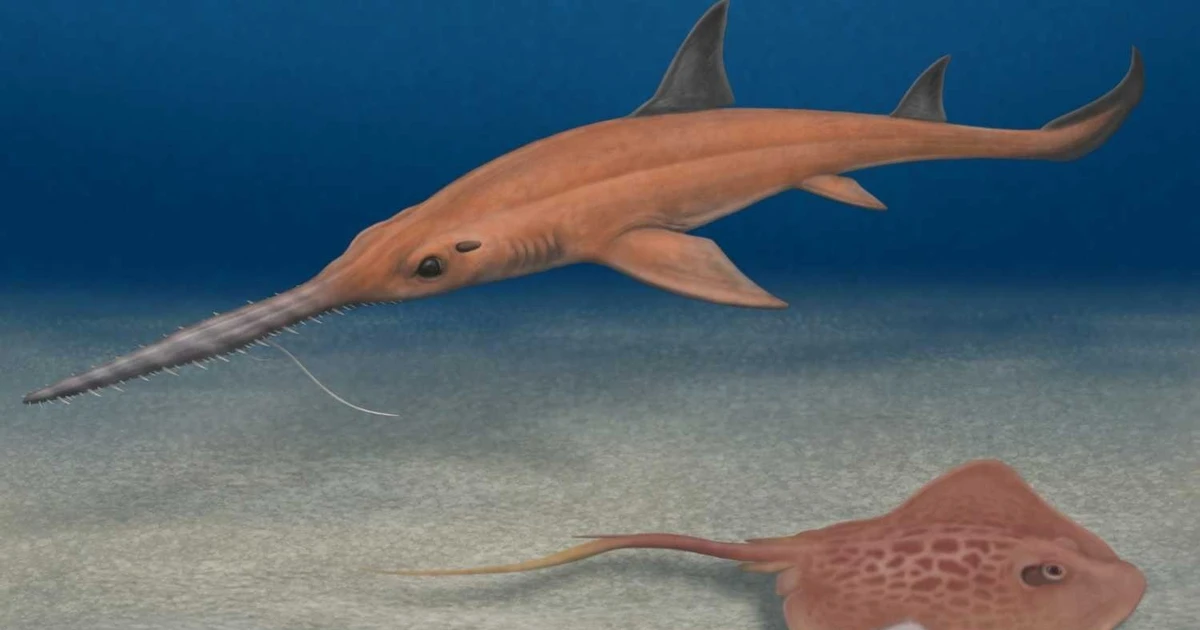 View - Phát hiện loài cá mập tiền sử mới hình lưỡi cưa độc đáo | Báo Tri thức và Cuộc sống - TIN TỨC PHỔ BIẾN KIẾN THỨC 24H