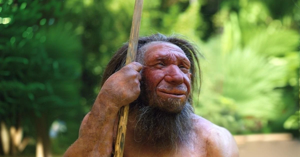 View - Chuyên gia tuyên bố người Neanderthal 'chưa thực sự tuyệt chủng' | Báo Tri thức và Cuộc sống - TIN TỨC PHỔ BIẾN KIẾN THỨC 24H