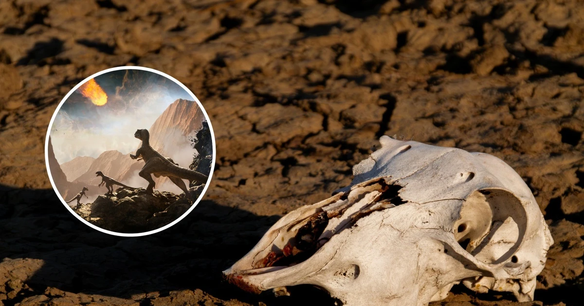 View - Trái Đất trước thảm họa tuyệt chủng thứ sáu, con người thành 'kẻ hủy diệt' | Báo Tri thức và Cuộc sống - TIN TỨC PHỔ BIẾN KIẾN THỨC 24H