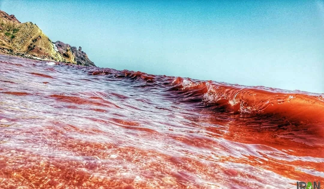 View - Nước biển đỏ rực sau mưa lớn, tự nhiên hay điềm báo? | Báo Tri thức và Cuộc sống - TIN TỨC PHỔ BIẾN KIẾN THỨC 24H