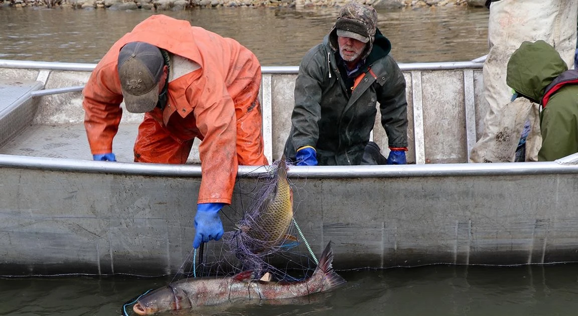 View - Loài cá hung dữ khiến Tổng thống Donald Trump cảnh báo khẩn | Báo Tri thức và Cuộc sống - TIN TỨC PHỔ BIẾN KIẾN THỨC 24H