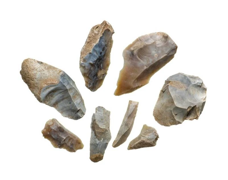 View - Tìm thấy hàng chục hiện vật quý hiếm dưới Cung điện nổi tiếng nước Anh | Báo Tri thức và Cuộc sống - TIN TỨC PHỔ BIẾN KIẾN THỨC 24H