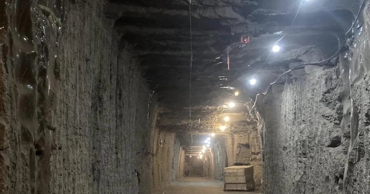 View - Các nhà khoa học 'đánh thức' sự sống bị 'phong ấn' suốt 40.000 năm | Báo Tri thức và Cuộc sống - TIN TỨC PHỔ BIẾN KIẾN THỨC 24H