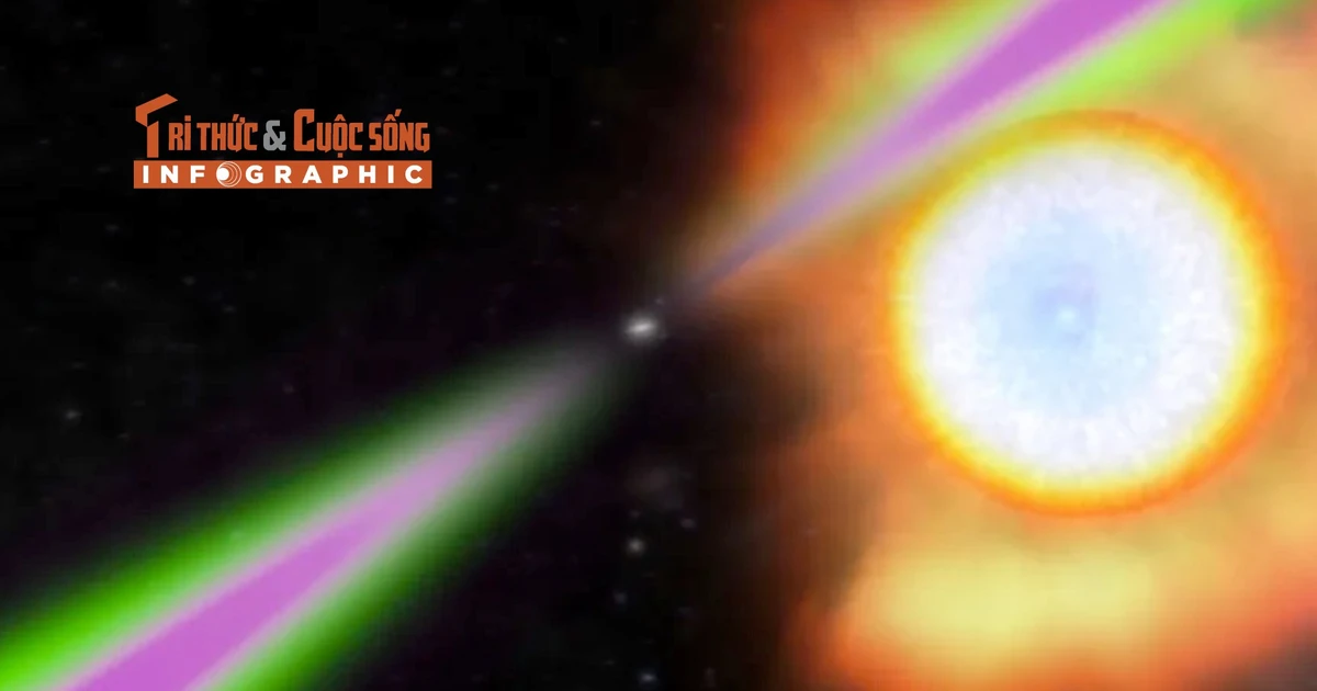View - [INFOGRAPHIC] Hành tinh hình quả chanh tích tụ kim cương sâu trong lõi | Báo Tri thức và Cuộc sống - TIN TỨC PHỔ BIẾN KIẾN THỨC 24H